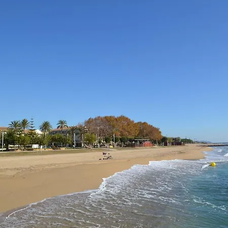 Wvp - Raquel Villa Cambrils